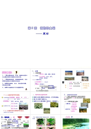 八年级科学下册 第3章 代代相传的生命课件 浙教版