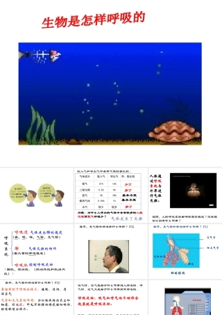 八年级科学下册 2-4生物是怎样呼吸的课件 浙教版