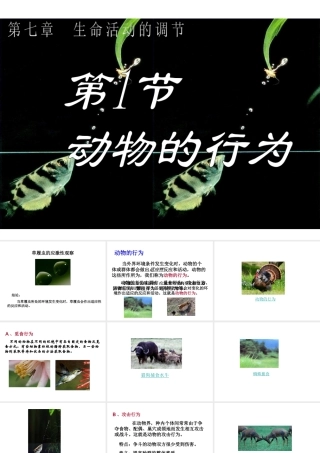 八年级科学下册 第7章 生命活动的调节 1 动物的行为课件 华东师大版-华东师大版初中八年级下册自然科学课件
