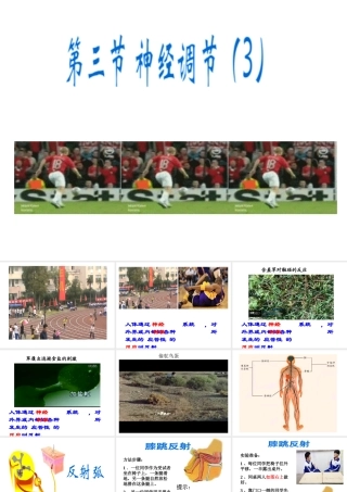 八年级科学下册 第7章 生命活动的调节 2 人体生命活动的神经调节课件（1） 华东师大版-华东师大版初中八年级下册自然科学课件