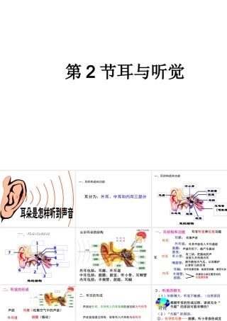 八年级科学下册 3.2《耳与听觉》课件 （新版）华东师大版-（新版）华东师大版初中八年级下册自然科学课件