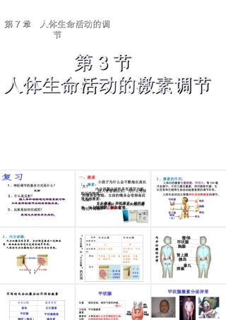 八年级科学下册 第7章 生命活动的调节 3 人体生命活动的激素调节课件 华东师大版-华东师大版初中八年级下册自然科学课件