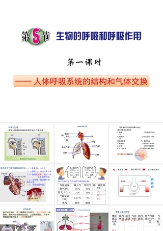 八年级科学下册 3.5 生物的呼吸和呼吸作用课件 （新版）浙教版-（新版）浙教版初中八年级下册自然科学课件