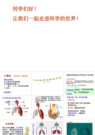 八年级科学下册 3.5《生物的呼吸和呼吸作用》课件 （新版）浙教版-（新版）浙教版初中八年级下册自然科学课件