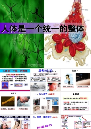 八年级科学下册 第7章 生命活动的调节 4 人体是一个统一的整体课件（1） 华东师大版-华东师大版初中八年级下册自然科学课件