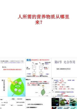 八年级科学下册 3.6《光和作用》课件 （新版）浙教版-（新版）浙教版初中八年级下册自然科学课件