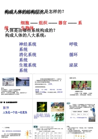 八年级科学下册 第7章 生命活动的调节 4 人体是一个统一的整体课件（3） 华东师大版-华东师大版初中八年级下册自然科学课件