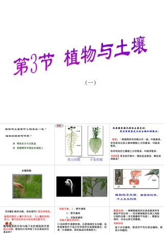八年级科学下册 3-3植物与土壤（第一课时）课件 浙教版