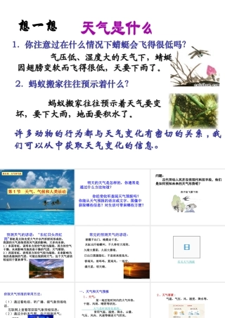 八年级科学下册 第8章 天气和气候 1 天气、气候和人类活动课件 华东师大版-华东师大版初中八年级下册自然科学课件