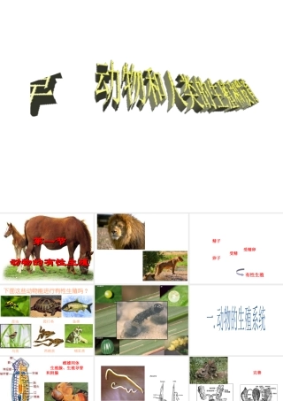 八年级科学下册 第八章 动物和人类的生殖与发育 1.动物的有性生殖 课件华东师大版(一)