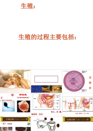 八年级科学下册 第八章 动物和人类的生殖与发育 2.人的生殖与发育 课件华东师大版
