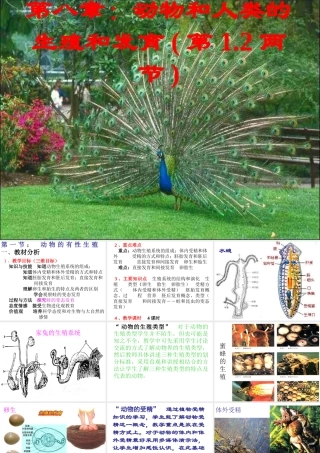 八年级科学下册 第八章动物和人类的生殖和发育课件 华东师大版