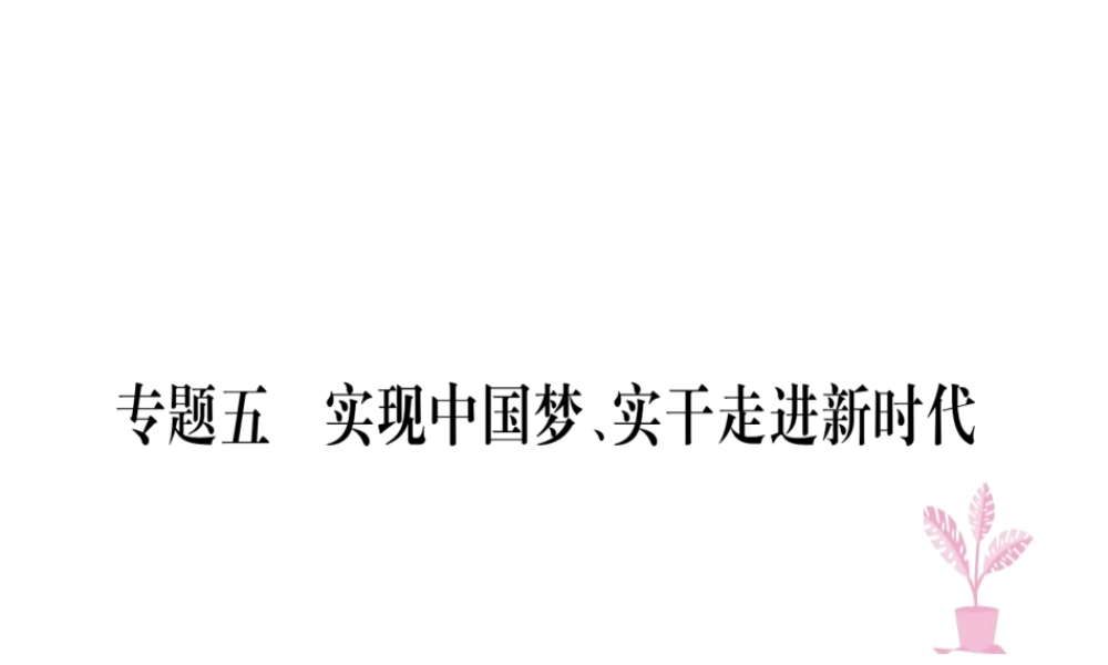 八年级道德与法治上册 专题五 实现中国梦 实干走进新时代习题课件 新人教版-新人教版初中八年级上册政治课件