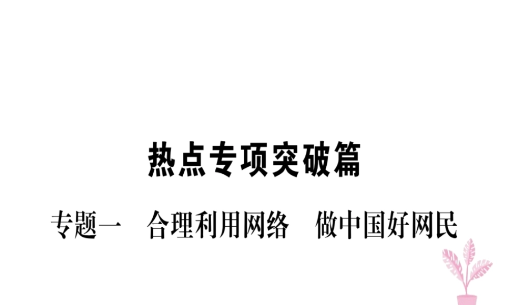 八年级道德与法治上册 专题一 合理利用网络 做中国好网民习题课件 新人教版-新人教版初中八年级上册政治课件