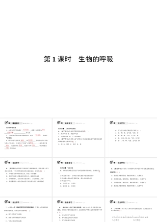 八年级科学下册 第三章 第5节 生物的呼吸和呼吸作用 第1课时 生物的呼吸课件 （新版）浙教版-（新版）浙教版初中八年级下册自然科学课件