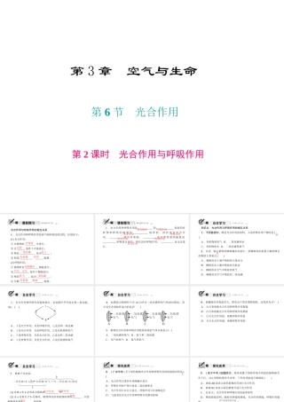 八年级科学下册 第三章 第6节 光合作用 第2课时 光合作用与呼吸作用课件 （新版）浙教版-（新版）浙教版初中八年级下册自然科学课件