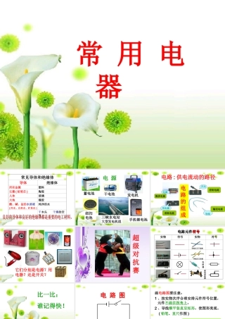 八年级科学下册 第三章 第二节 常用电器课件 华东师大版