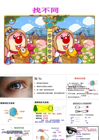 八年级科学下册 第3章 人体的感觉 1 眼与视觉（第2课时）课件 华东师大版-华东师大版初中八年级下册自然科学课件