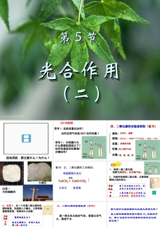 八年级科学下册：第2章第5节 光合作用课件（第二课时）（浙教版）