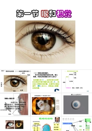 八年级科学下册 第3章 人体的感觉 1 眼与视觉课件 华东师大版-华东师大版初中八年级下册自然科学课件