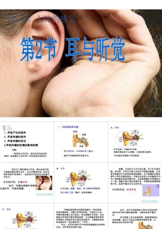 八年级科学下册 第3章 人体的感觉 2 耳与听觉课件（1） 华东师大版-华东师大版初中八年级下册自然科学课件