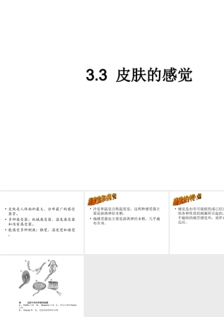 八年级科学下册 第3章 人体的感觉 3 皮肤感觉课件（2） 华东师大版-华东师大版初中八年级下册自然科学课件
