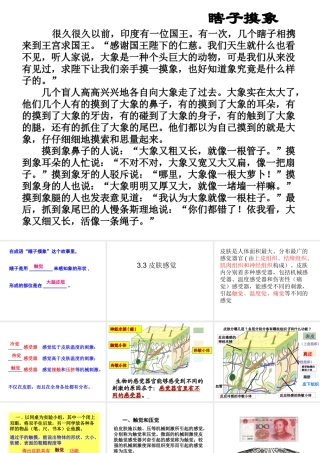 八年级科学下册 第3章 人体的感觉 3 皮肤感觉课件（3） 华东师大版-华东师大版初中八年级下册自然科学课件