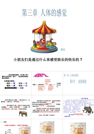 八年级科学下册 第3章 人体的感觉 3 皮肤感觉课件（4） 华东师大版-华东师大版初中八年级下册自然科学课件