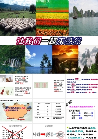 八年级科学下册 第3章 人体的感觉 4 味觉与嗅觉课件（1） 华东师大版-华东师大版初中八年级下册自然科学课件