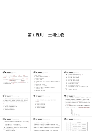 八年级科学下册 第四章 第1节 土壤的成分 第1课时 土壤生物课件 （新版）浙教版-（新版）浙教版初中八年级下册自然科学课件