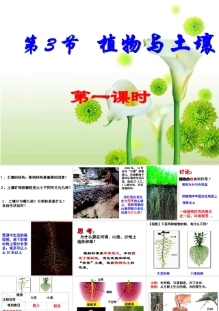 八年级科学下册：第3章第3节 植物与土壤课件（浙教版）