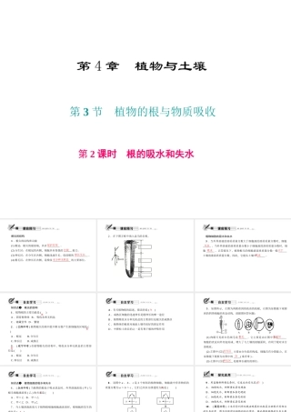 八年级科学下册 第四章 第3节 植物的根与物质吸收 第2课时 根的吸水和失水课件 （新版）浙教版-（新版）浙教版初中八年级下册自然科学课件