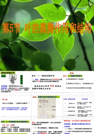 八年级科学下册：第3章第5节 叶的蒸腾作用和结构课件1（浙教版）