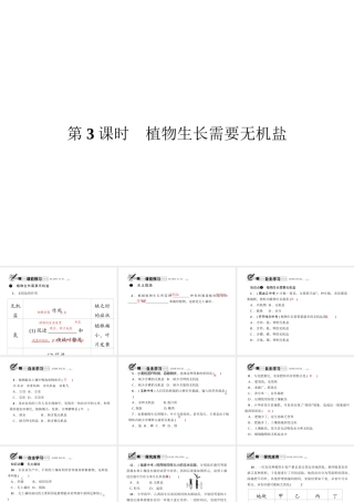八年级科学下册 第四章 第3节 植物的根与物质吸收 第3课时 植物生长需要无机盐课件 （新版）浙教版-（新版）浙教版初中八年级下册自然科学课件
