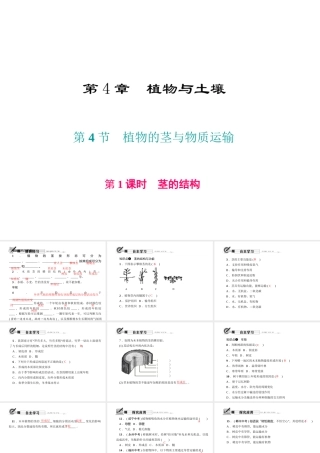 八年级科学下册 第四章 第4节 植物的茎与物质运输 第1课时 茎的结构课件 （新版）浙教版-（新版）浙教版初中八年级下册自然科学课件