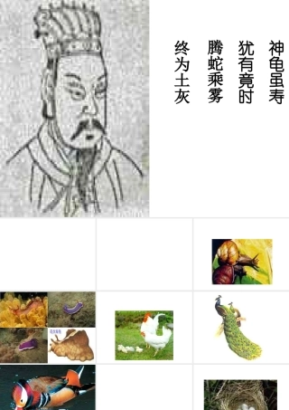 八年级科学下册 动物的有性生殖课件（三） 华东师大版