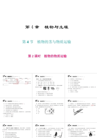 八年级科学下册 第四章 第4节 植物的茎与物质运输 第2课时 植物的物质运输课件 （新版）浙教版-（新版）浙教版初中八年级下册自然科学课件