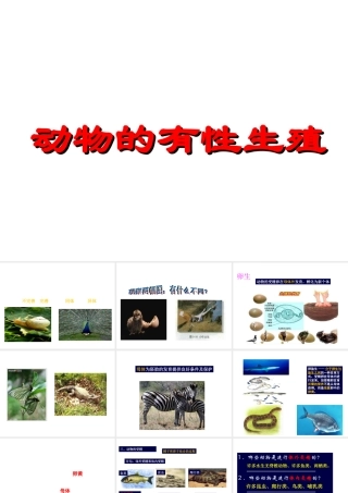 八年级科学下册 动物的有性生殖课件1 华师大版