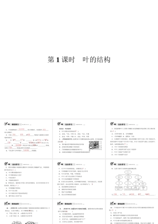 八年级科学下册 第四章 第5节 植物的叶与蒸腾作用 第1课时 叶的结构课件 （新版）浙教版-（新版）浙教版初中八年级下册自然科学课件