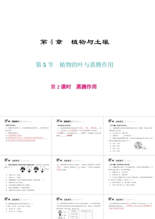 八年级科学下册 第四章 第5节 植物的叶与蒸腾作用 第2课时 蒸腾作用课件 （新版）浙教版-（新版）浙教版初中八年级下册自然科学课件