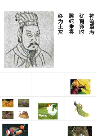 八年级科学下册 动物的有性生殖课件3 华师大版