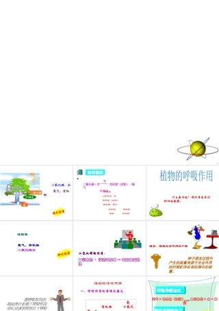八年级科学下册 复习课件25课时光合作用和呼吸作用课件浙教版