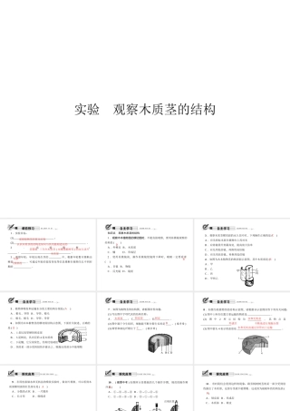 八年级科学下册 第四章 实验 观察木质茎的结构课件 （新版）浙教版-（新版）浙教版初中八年级下册自然科学课件