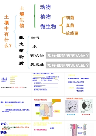 八年级科学下册第3章 植物与土壤 本章综合 复习课件浙教版
