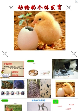 八年级科学下册第八章1.动物的有性生殖 课件华师大版