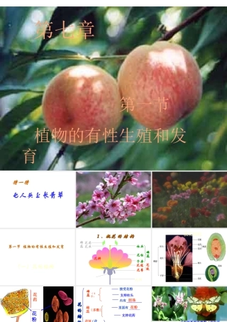 八年级科学下册第七章 植物的生殖与发育 1.植物的有性生殖和发育 课件华东师大版(三)