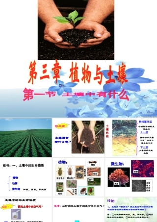 八年级科学下册学：第3章第1节 土壤中有什么课件（浙教版）