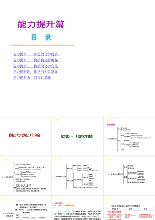 安徽省2013届中考化学复习方案 能力提升课件