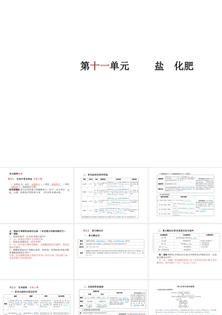 安徽省中考化学复习 第十一单元 盐 化肥课件-人教版初中九年级全册化学课件