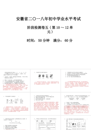 安徽省中考化学复习 阶段检测卷（五）课件-人教版初中九年级全册化学课件